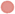 Bullet